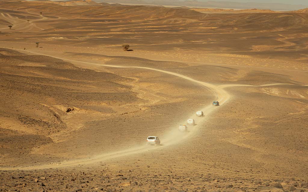 AfricAdventure-Marruecos-panda