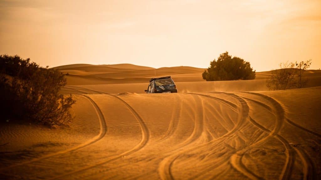 AfricAdventure-Panda-Xperience