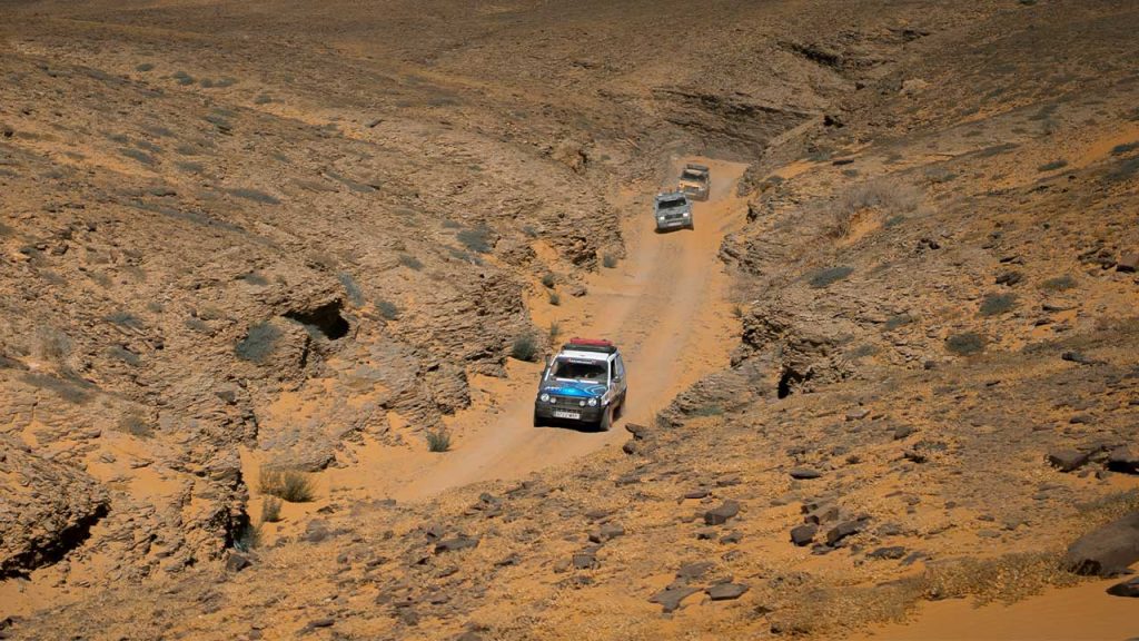 AfricAdventure-Panda-Xperience